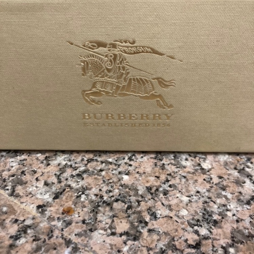 Burberry Shield Sunglasses